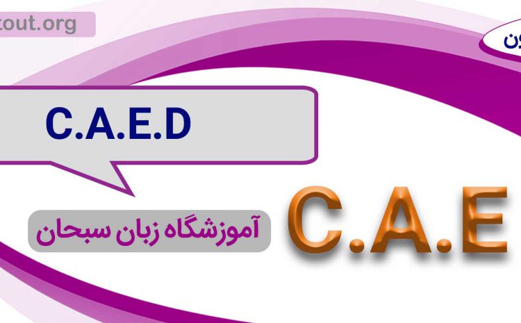C.A.E.D